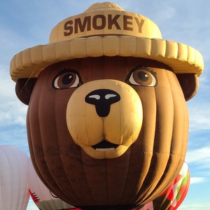 Fundraising Page: Mark Waldo